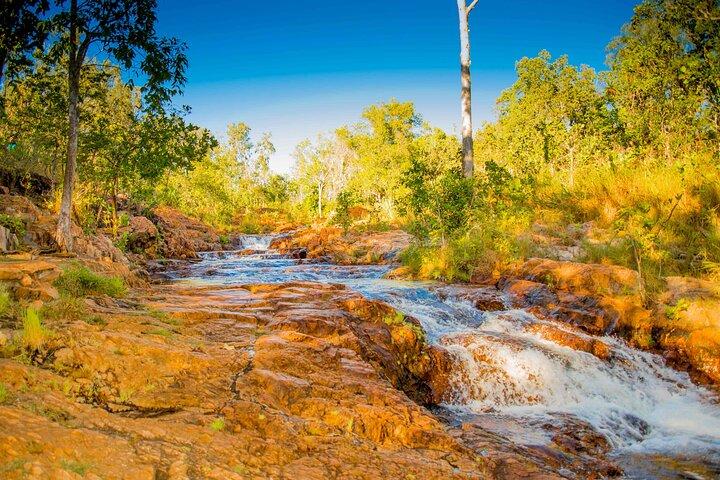 Viagem de um dia às cachoeiras do Parque Nacional de Litchfield saindo de Darwin, incluindo montes de cupins e almoço