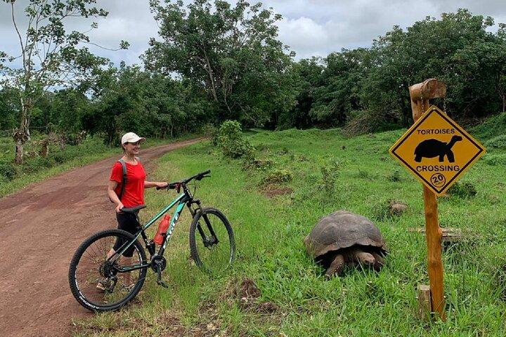 Galapagos per elektrische fiets + reuzenschildpadden