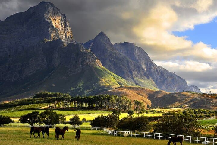 Full Day Private Tour in Cape Town. With free photo shoot.