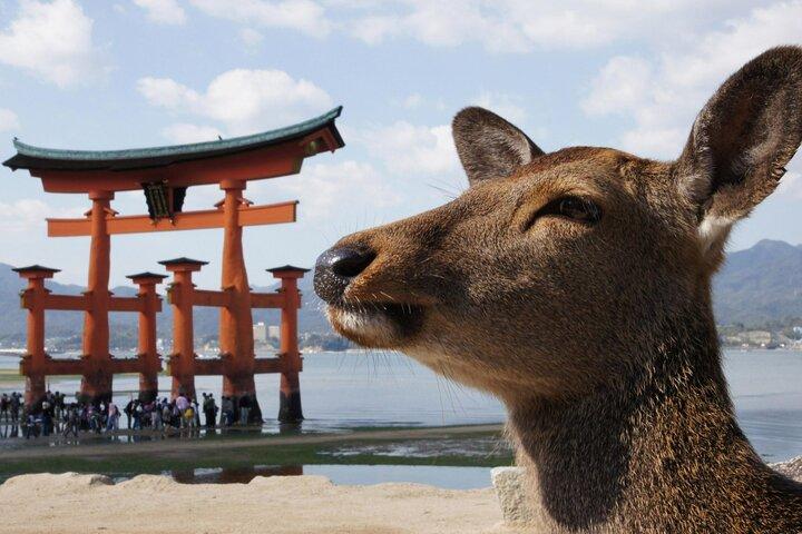 Hiroshima Miyajima ônibus de 1 dia com almoço indiano e Shinkansen