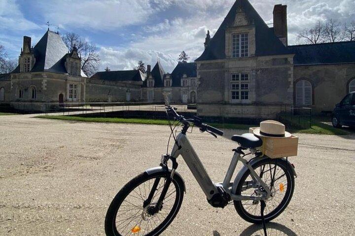 シャンボールへのロワール渓谷の自転車ツアー FROM TOURS