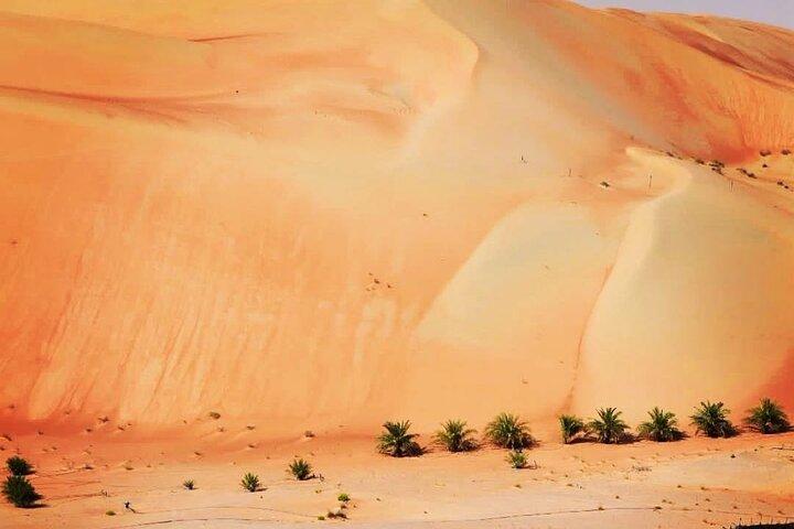 Avventura Liwa Safari nel deserto di un'intera giornata con pranzo da Abu Dhabi