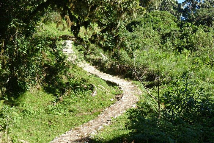 Tour del campeggio privato di 2 giorni sul Monte Meru da Arusha