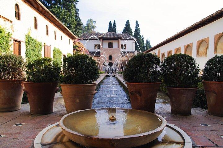 Alhambra gardens tour guided(English guide)