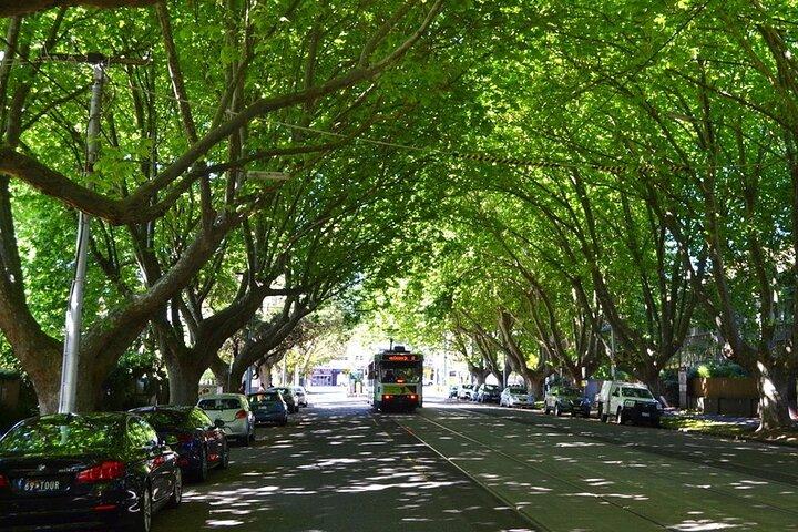 St Kilda Super Tour in Melbourne