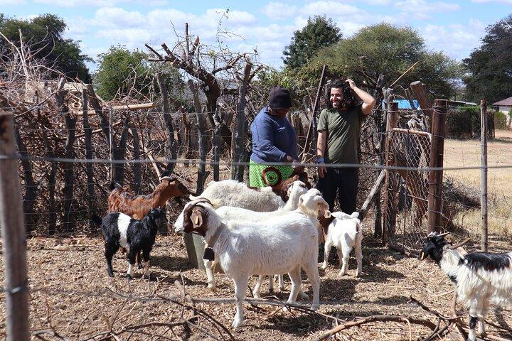 Excursión de medio día desde Gaborone (visita al pueblo de Manyana)