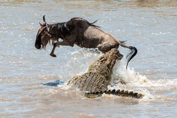 Erschwingliche 3-tägige Safari zum Serengeti & Ngorongoro Krater