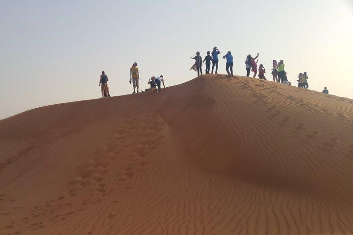 Wüstensafari mit Sandboarding und privater Binnentour
