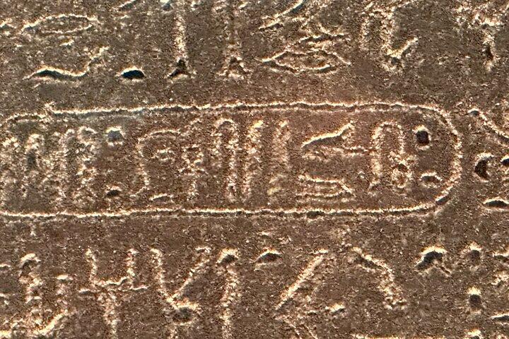 Visite guidée privée d'une demi-journée du British Museum