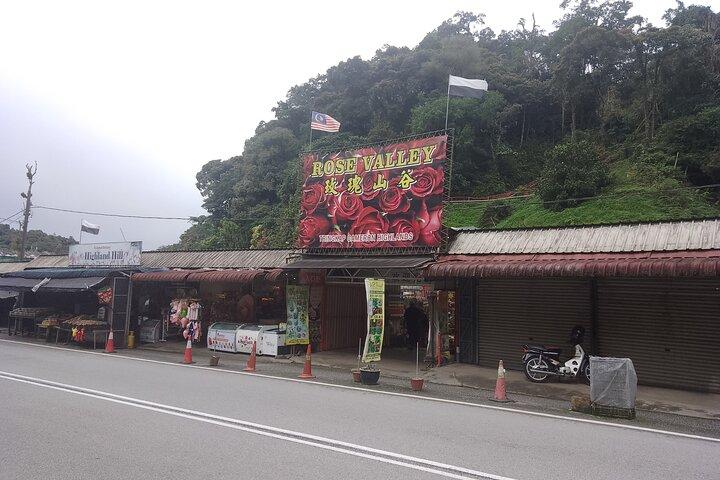 キャメロンハイランド日帰り旅行