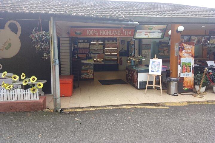 キャメロンハイランド日帰り旅行