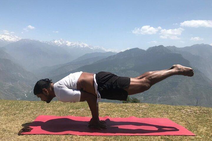 Groepsyogales met Siddharth van beginner tot gevorderde