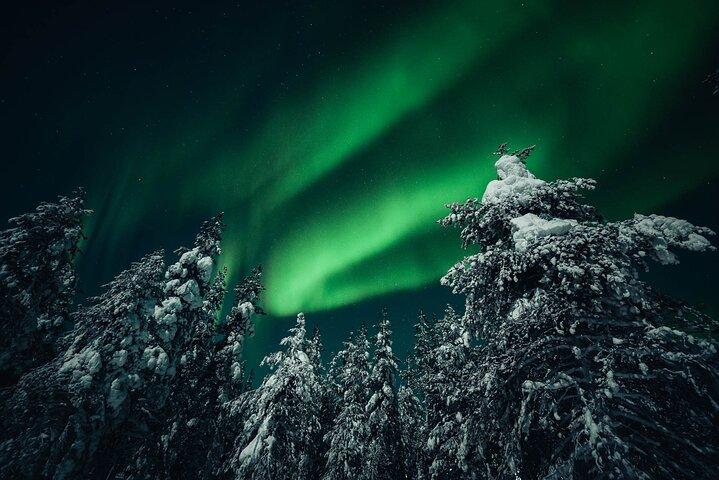Rovaniemi : 少人数オーロラ狩り-お金のバック保証