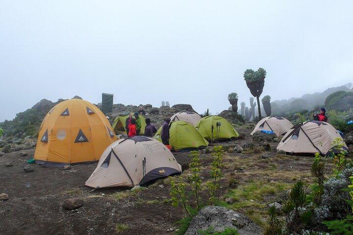 Tour de un día Marangu Kilimanjaro