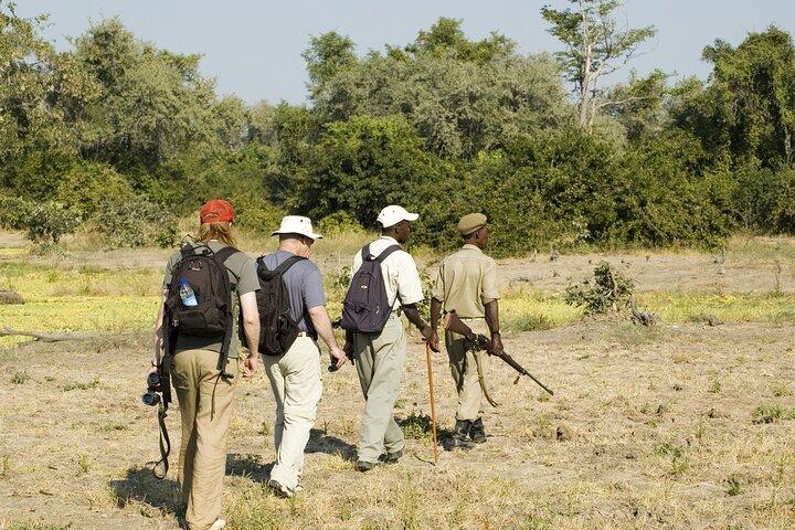 Tour privado en el Parque Nacional Arusha
