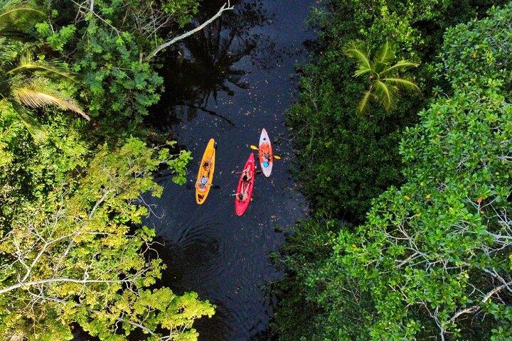 Puerto Viejo Sloth Tour na selva e no rio com caiaque