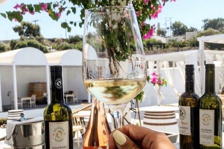 Santorini: Tour privado de cata de vinos