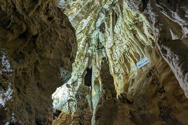 高山発 1 日ツアー: 飛騨民俗村、洞窟、ロープウェイ