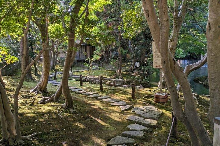 Excursão de um dia saindo de Kanazawa: Folha de Ouro, Doces Japoneses e Estrela Ninja