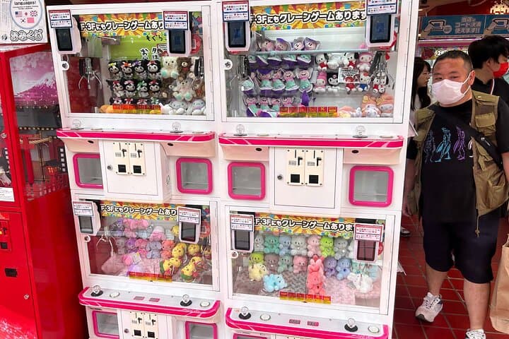 Crazy about Anime! Private Full Day Tokyo Manga Anime Tour by Chartered Vehicle