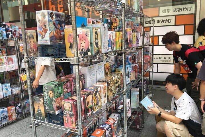 Crazy about Anime! Private Full Day Tokyo Manga Anime Tour by Chartered Vehicle
