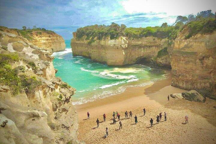 Petit groupe Great Ocean Road Reverse et observation de la faune