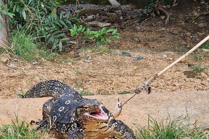 ダンブッラからシギリヤとポロンナルワへの日帰りツアー