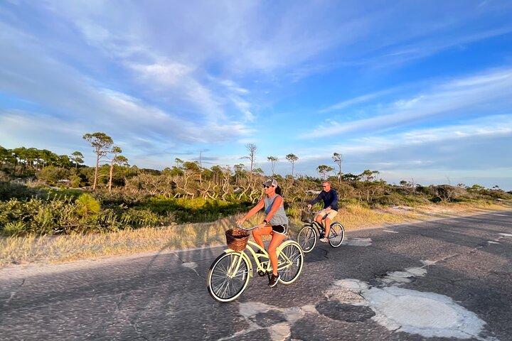 State Park E-Bike Tour : Alligators, Pier , & More（アリゲーター、ピア、その他 ） [ SELF-GUIDED]