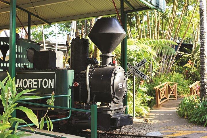 Trasferimento in autobus di ritorno alla Ginger Factory e alla Nutworks: Sunshine Coast