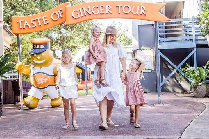 Trasferimento in autobus di ritorno alla Ginger Factory e alla Nutworks: Sunshine Coast