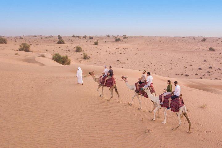 Dubai Frame e Safari nel deserto con cena combinata