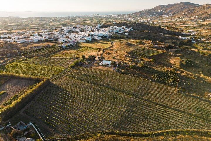 Naxos Tour guiado privado/semiprivado en bicicleta eléctrica por el interior de Methexis
