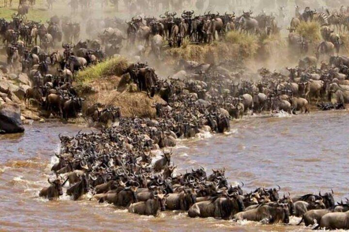 6-daagse privémigratiereis in Kenia