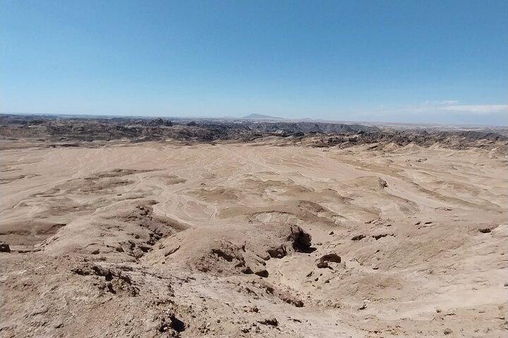クルーズ客船スペシャル:スワコプムントとナミブ砂漠の至宝
