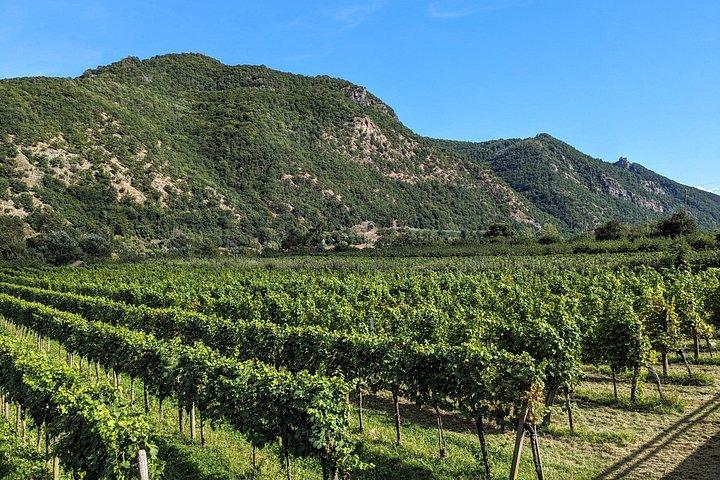 Wachau Valley Kayak & Wine Tour