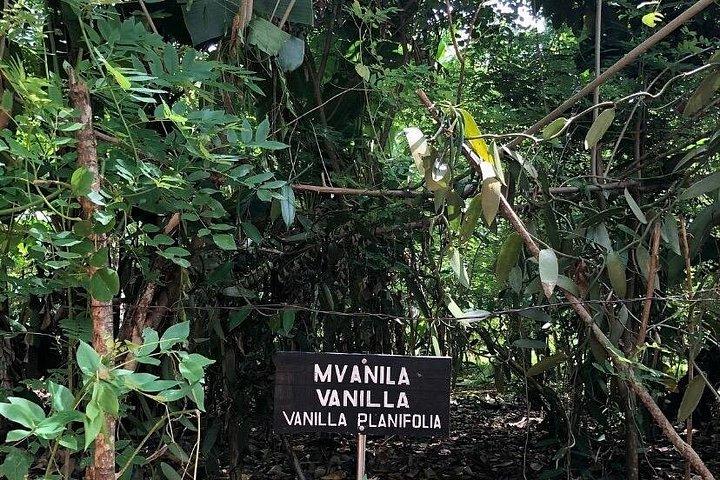 Private Zanzibar Spice Farm Tour