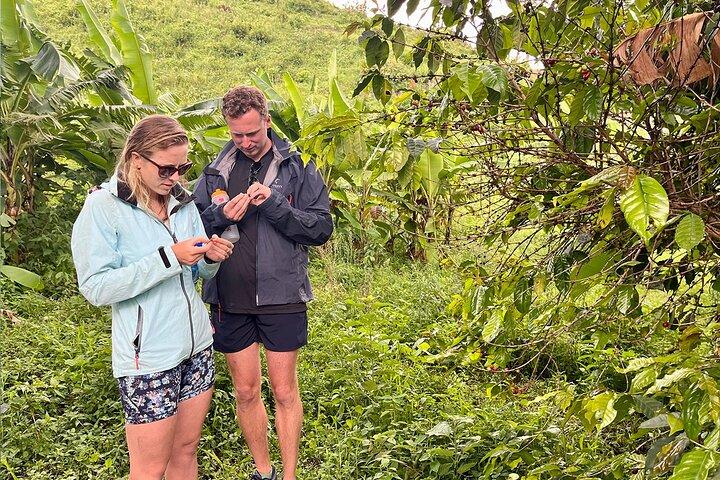 1 Tag Lake Kivu Abenteuer, malerische Wanderung & Kaffeeplantagentour