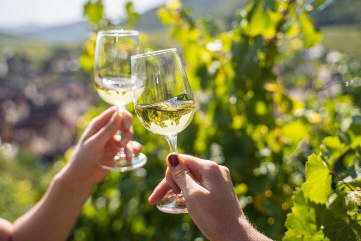 Provenza, vigneti e campi di lavanda Gita privata di un giorno