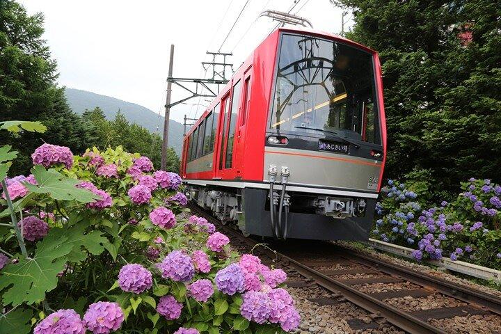 東京から箱根へ：電車のチケットと箱根フリーパス