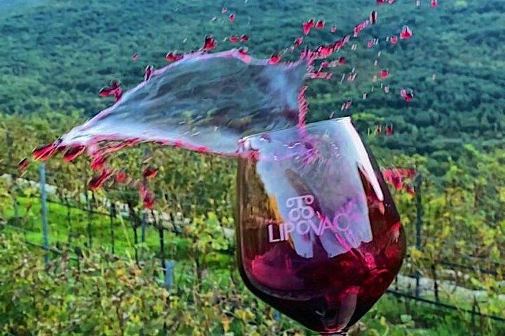 Private Weinprobe im Weingut Lipovac