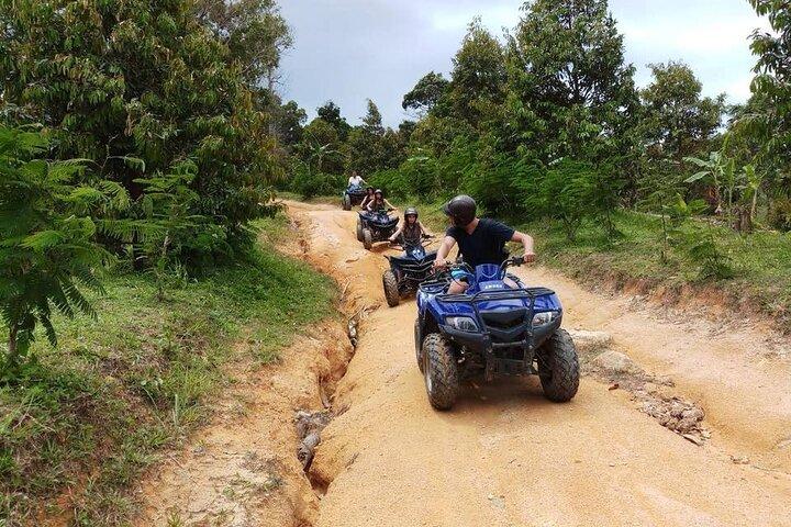 Combo : Seaview Zipline 10 Cable Tree Bridge Bar & 2 - Hour VTT Ride
