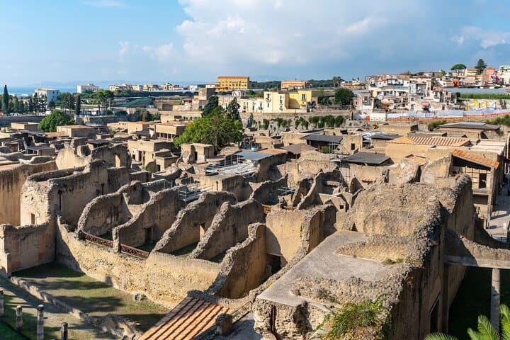 Vesuvius & Herculaneum Small Group Tour from Naples