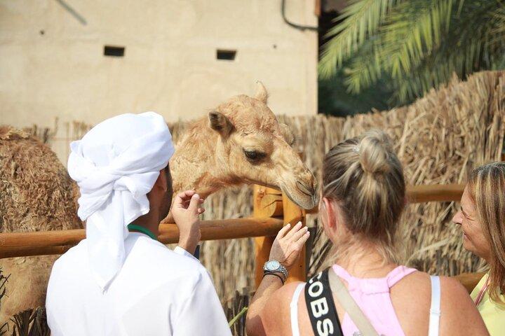 Tussenstops en tussenstops in Dubai