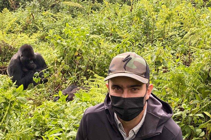 1-dags Gorilla Trekking Safari i Rwanda Volcanoes National Park