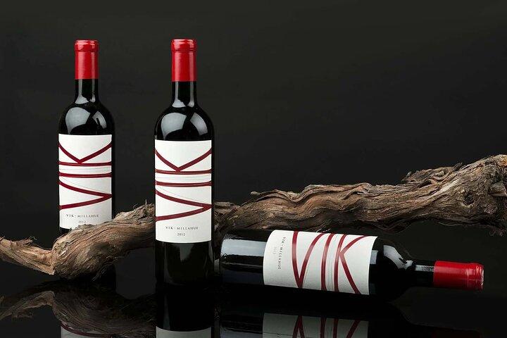 Privat Colchagua VIK och Montes Wineries Experience