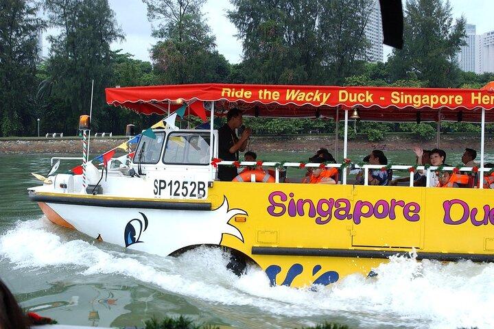 Private Tour Singapore Duck