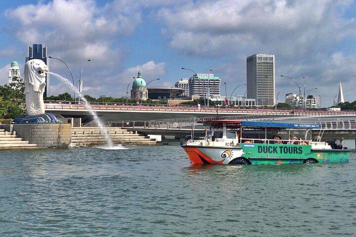 Private Tour Singapore Duck
