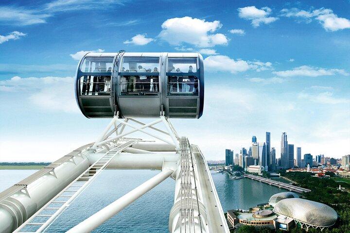 Tour privado Singapore Flyer y Dukw