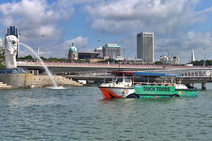 Tour privado Singapore Flyer y Dukw