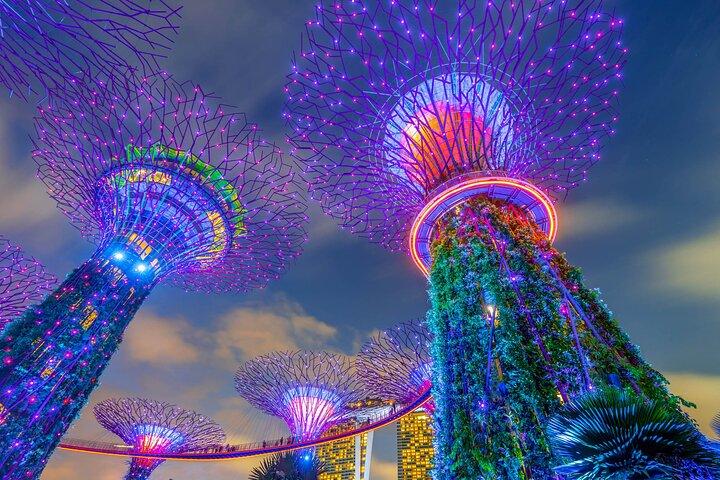 Private Tour Highlight Singapur mit Singapore Flyer